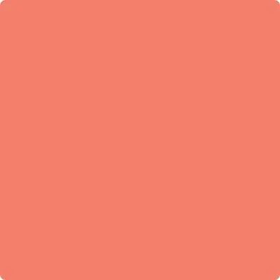 005 Tuscon Coral