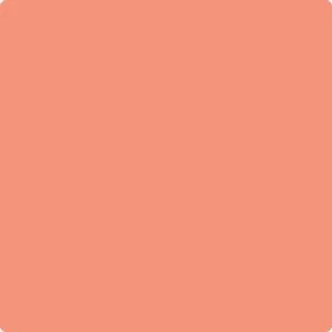 019 Salmon Run