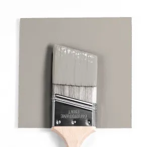 1551 La Paloma Gray