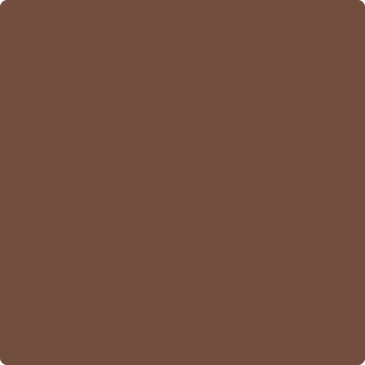 2095-10 Adirondack Brown