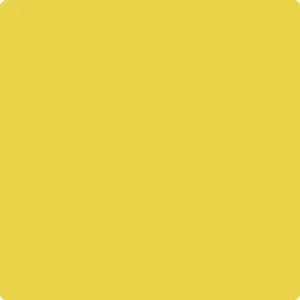 363 Lemon Grove