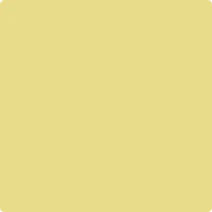 369 Mulholland Yellow
