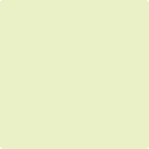 400 Polar Lights