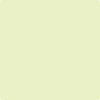 400 Polar Lights