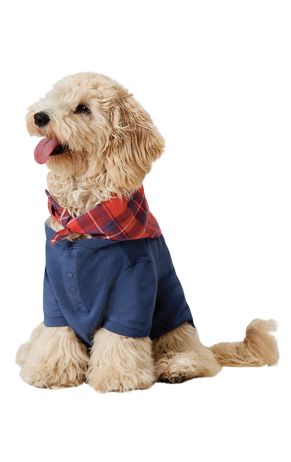 Americana Plaid Matching Family Pajamas