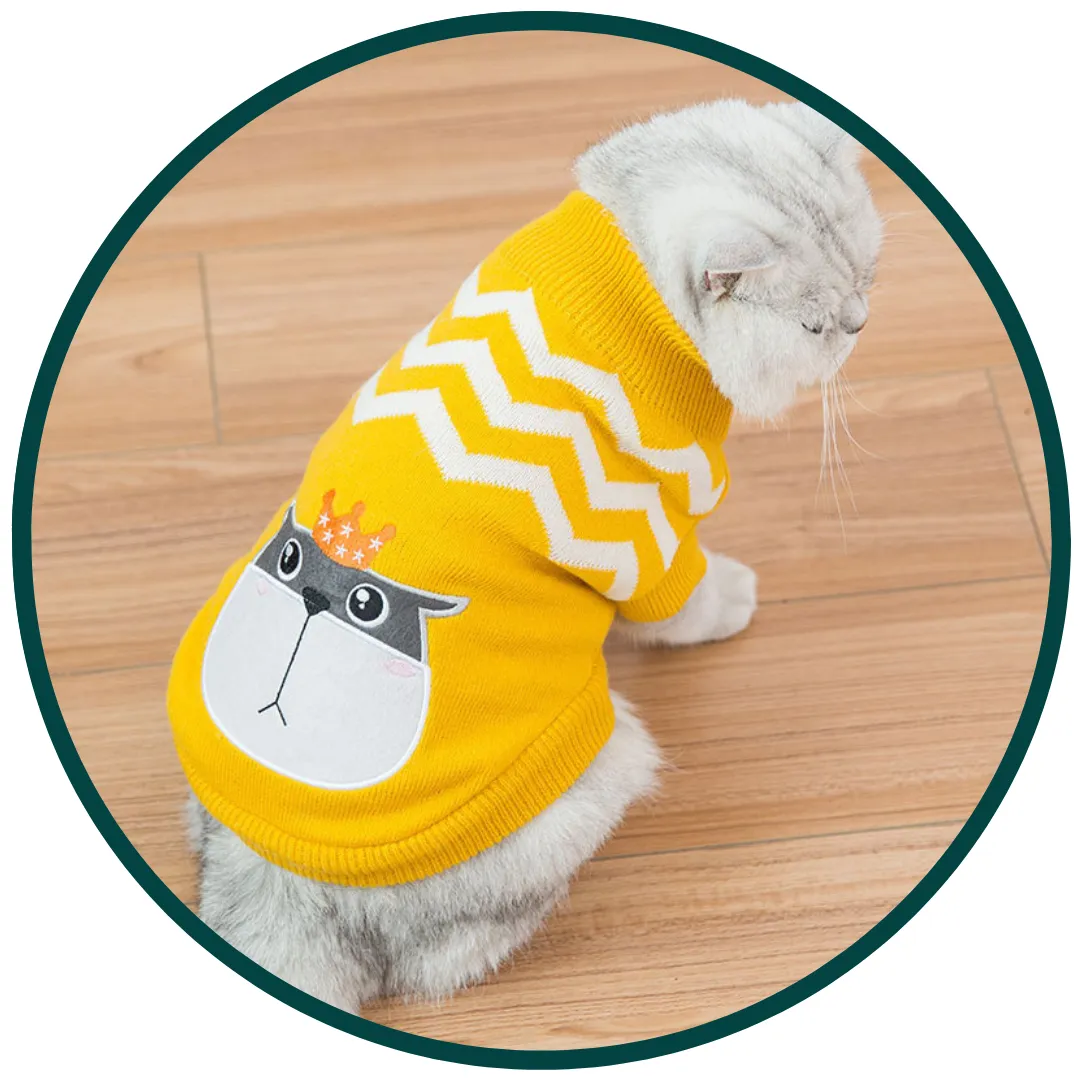 Animal Print Pet Sweater