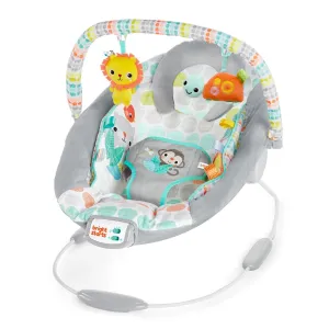 Bright Starts Cradling Bouncer - Whimsical Wild