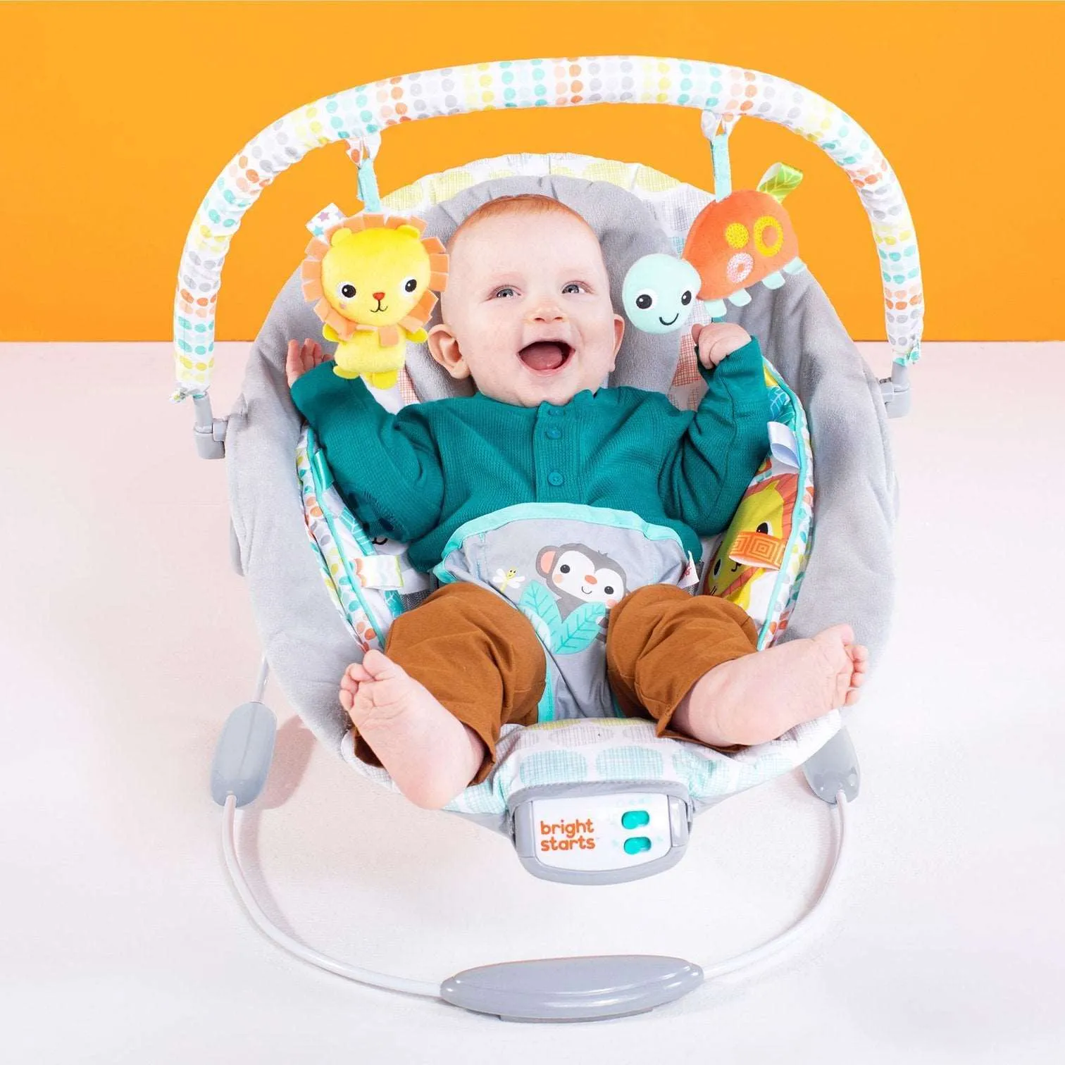 Bright Starts Cradling Bouncer - Whimsical Wild