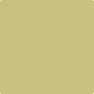CSP-885 Turkish Bay Leaf