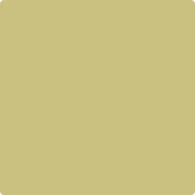 CSP-885 Turkish Bay Leaf
