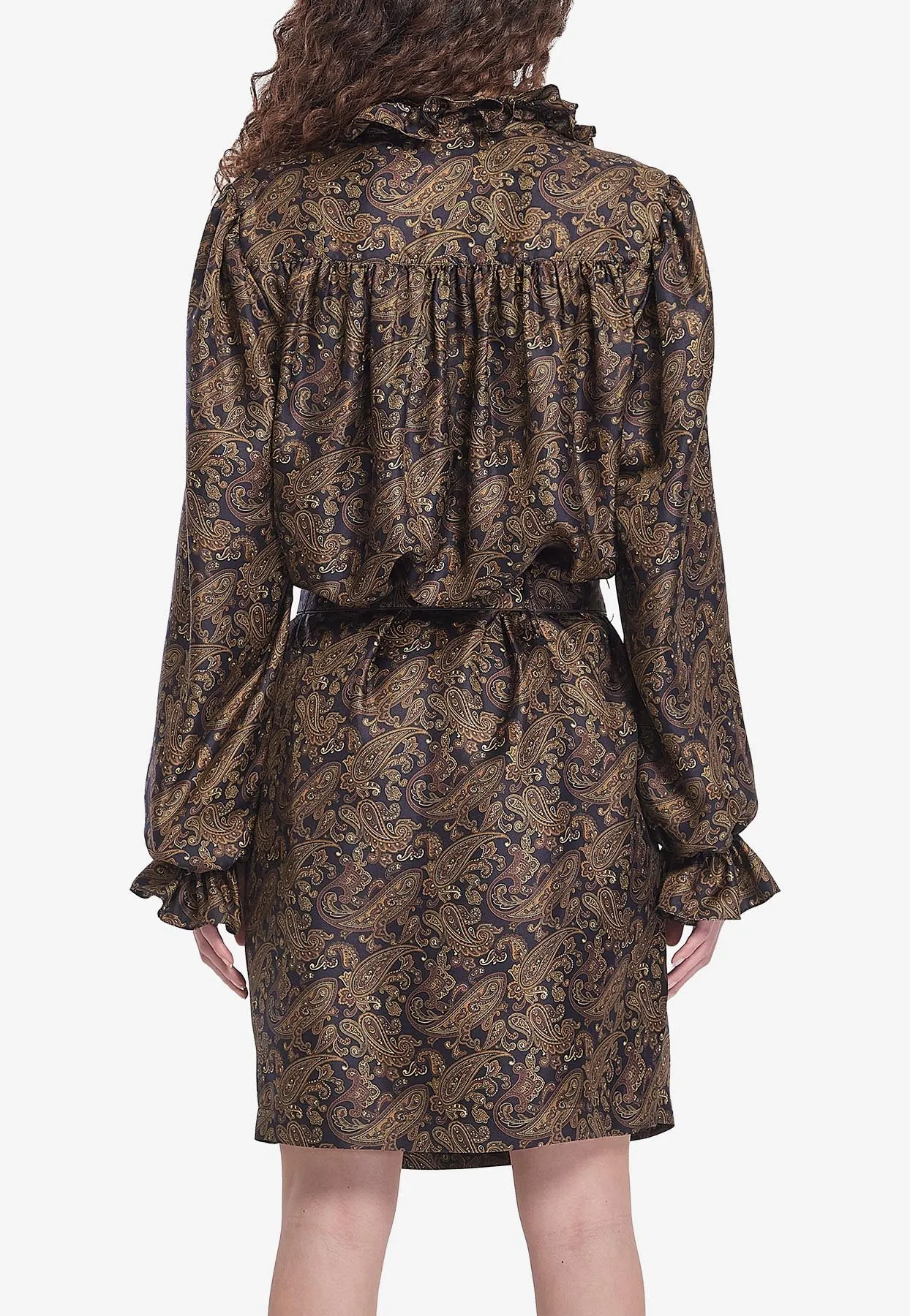 Paisley Print Belted Dress