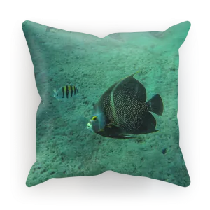 Sublimation Cushion/Throw Pillow Cover - Reef Fish Collection - Angel