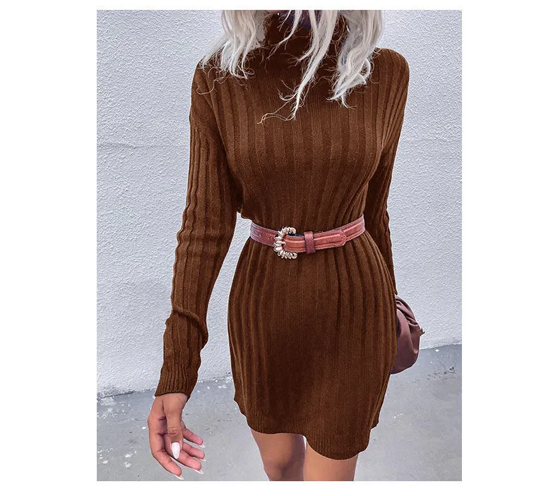 Turtleneck Ribbed Mini Dress with Belted Waist